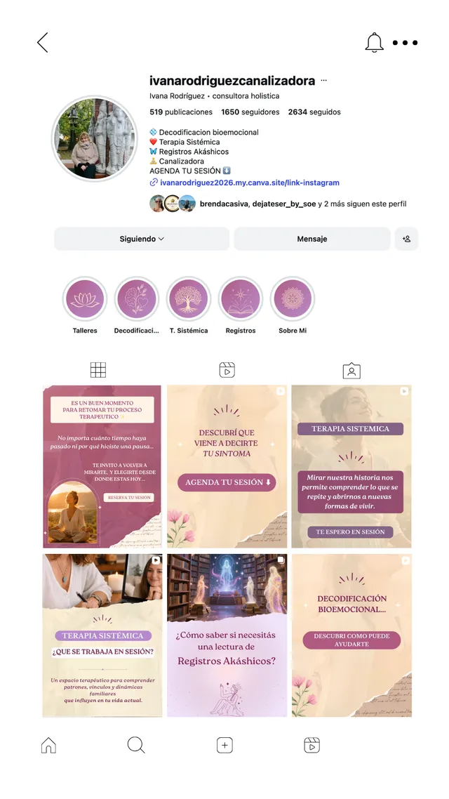 Muestra de contenido e identidad visual de Ivana Rodriguez